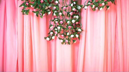 Flowers on the pink stageの写真素材