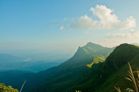 mountain forest の写真素材