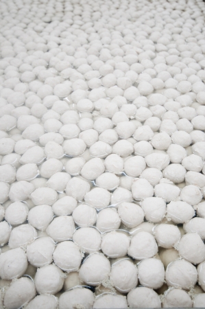 boiled pork meat ballの写真素材