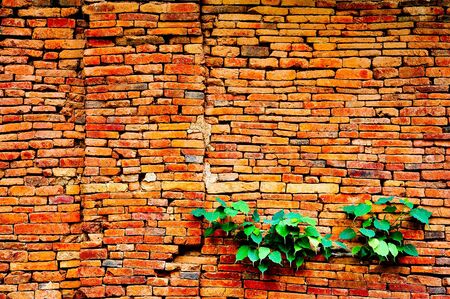 Old brick wall as backgroundの写真素材