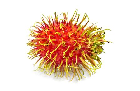 Rambutan isolated on white backgroundの写真素材