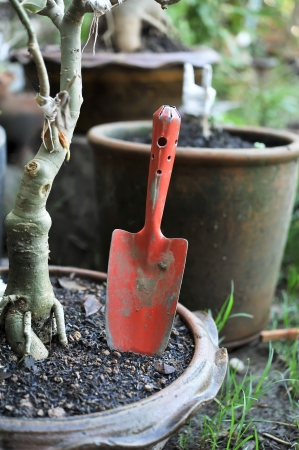 shovelの写真素材