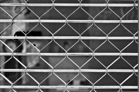 elastic metal fence doorの写真素材