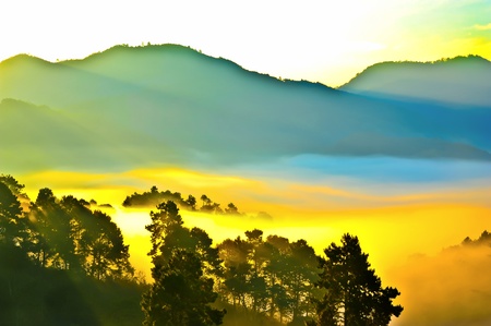 morning mist on doi angkhang mountain, Chiang Mai, Thailand 
