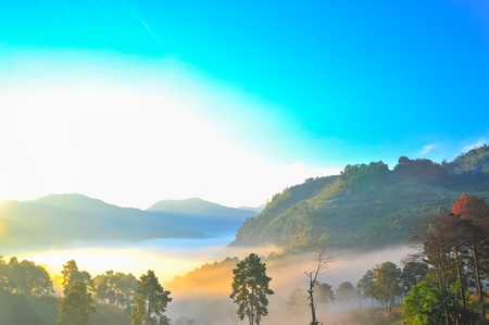 Sea of mist  View from high mountain  Doi angkhang mountain, chiangmai Thailand 