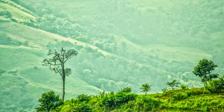doi Pha Tung Mountain , Chiang Rai , Thailandの写真素材