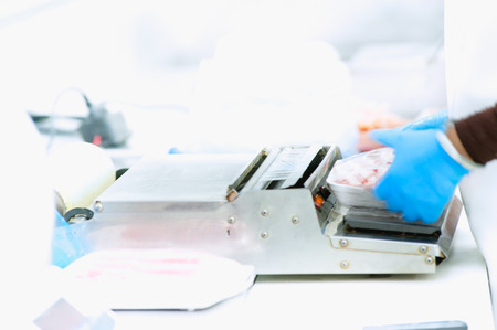 Butcher wrapping pork in meat industryの写真素材