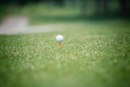 Golf club and ball in green grassの写真素材