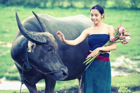 thai ancient young women with buffalo on rural, vintage style, vintage filter effectの写真素材