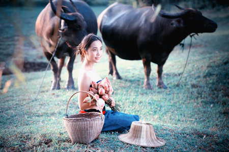 thai ancient young women with buffalo on rural, vintage filter effectの写真素材
