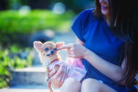 Photo of asia woman with dog in a grass fieldの写真素材