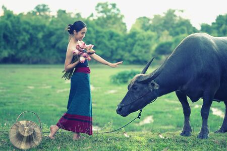 thai ancient young women with buffalo on rural, vintage styleの写真素材