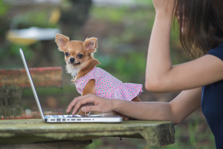 Asia Young happy woman with her dog and laptopの写真素材