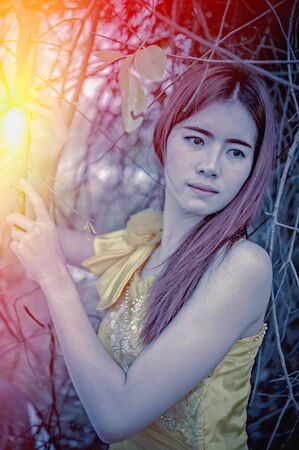 Portrait of Asia Beautiful woman in yellow dress on nature, add flare for mood and tone styleの写真素材