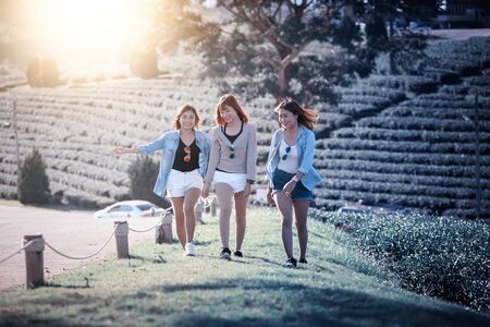 three asia woman walking on green grass at chuifong tea garden in Chiangrai Thailandの写真素材