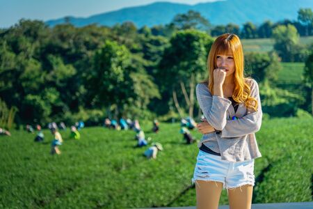 portrait of Asia beautiful woman on view point at Tea garden chuifong Thailandの写真素材