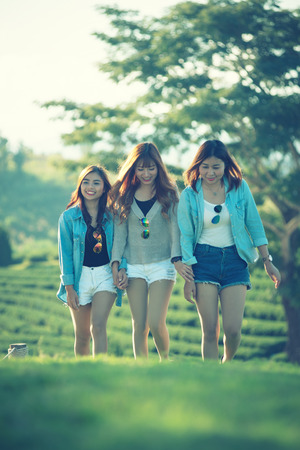 three asia woman walking on green grass at chuifong tea garden in Chiangrai Thailandの写真素材