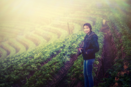 asia tourist woman in strawberry farm on doi angkhang mountain at chiangmai thailandの写真素材