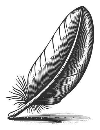 This intricate black and white engraving showcases a single feather, capturing its detailed structure and natural beauty. Ideal for various creative projects.のイラスト素材