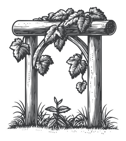 Explore a detailed vintage engraving of an arbor adorned with lush grapevines, capturing nature's beauty in a rustic style perfect for artistic projects.のイラスト素材
