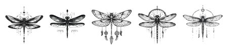 Discover a stunning set of vector illustrations featuring elegant dragonflies in black and white. Perfect for decor, branding, and artistic projects.のイラスト素材