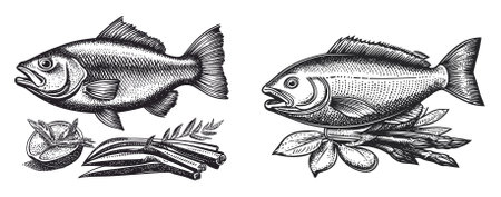 Explore a pair of vintage-style fish illustrations, perfect for culinary designs, showcasing intricate details and a classic aesthetic for food-themed projects.のイラスト素材