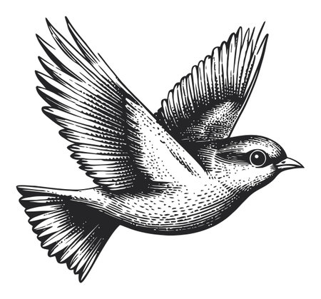This stunning bird engraving features intricate details and a graceful wing spread. Ideal for nature-inspired designs and artistic projects.のイラスト素材