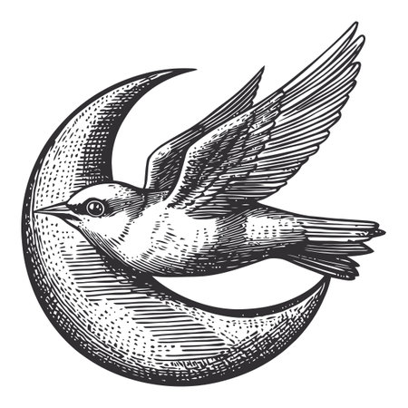 This artwork features a finely detailed engraving of a bird in flight alongside a crescent moon, showcasing a vintage style perfect for nature-themed projects.のイラスト素材