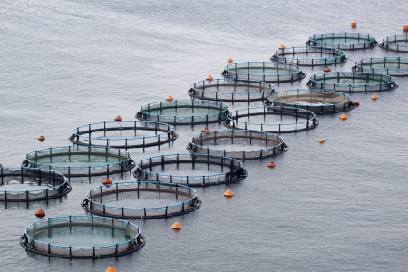 Aquacultureの写真素材