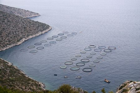 Aquacultureの写真素材