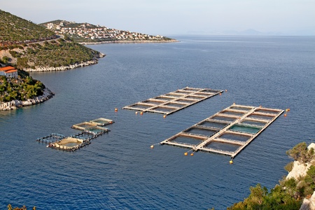 Fish farms in Peloponesse, Greeceのeditorial素材