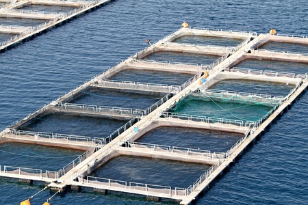 Fish farms in Peloponesse, Greeceのeditorial素材