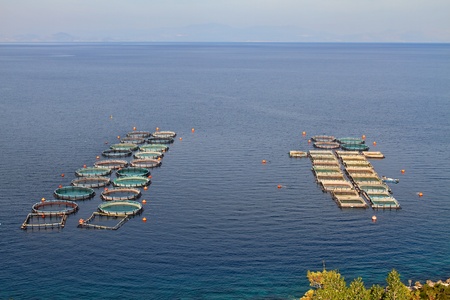 Fish farms in Peloponesse, Greeceのeditorial素材