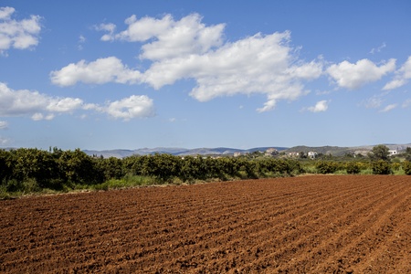 Plough soil rows at cultivated fieldの写真素材