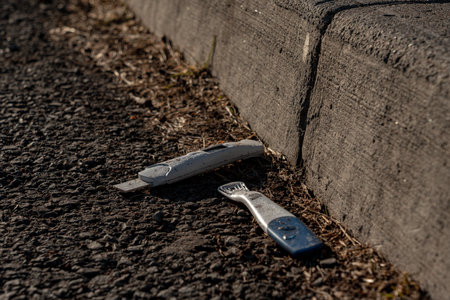 Pregnancy test tossed by the side of the road