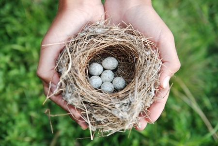 Young woman holding bird nestの写真素材