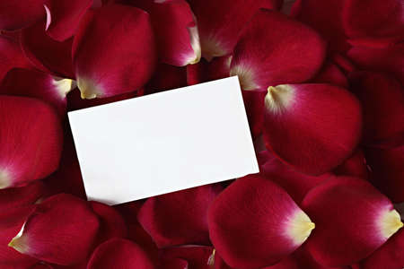 Note card in red rose petalsの写真素材