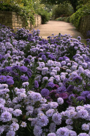 Mums and Walkwayの写真素材