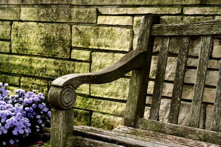 Bench with Purple Mumsの写真素材