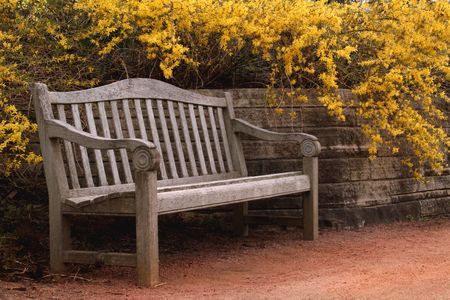 Empty bench by Forsythiaの写真素材