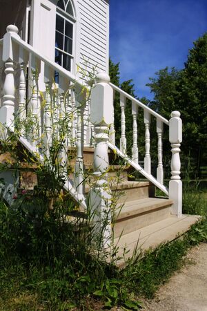 Wooden steps surrounded by weedsの写真素材