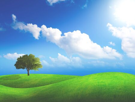 tree alone in filed with beautiful sky.の写真素材