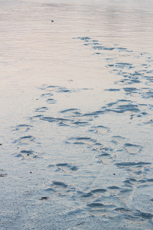 Footsteps frozen into the surface of a lake in Berlinの写真素材