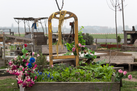 Plants in a rogue garden set up by berlin citizens on the former airport Tempelhofの写真素材