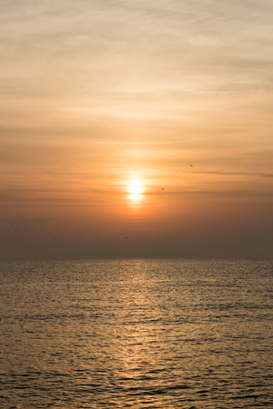 colorful portrait sunrise above mediterranean sea with flock of birdsの写真素材