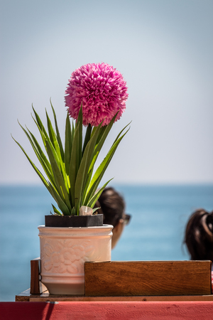A colorful pink blooming plant in front of the mediterranean seaの写真素材