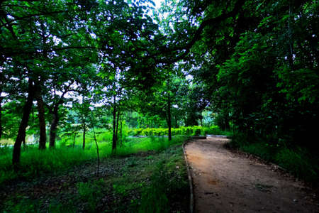 On the Wayの写真素材