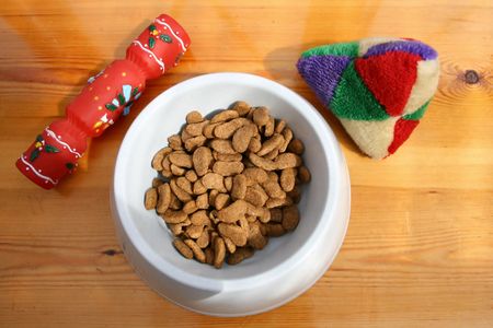 A dogs dinner for Christmasの写真素材