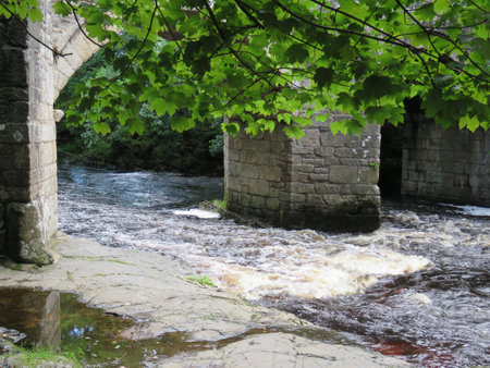 Dartmoor National Park