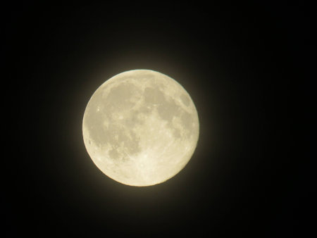 yellow moon at night